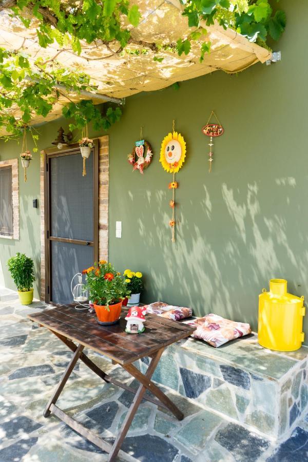 Valena'S House Apartment Ioannina Exterior photo