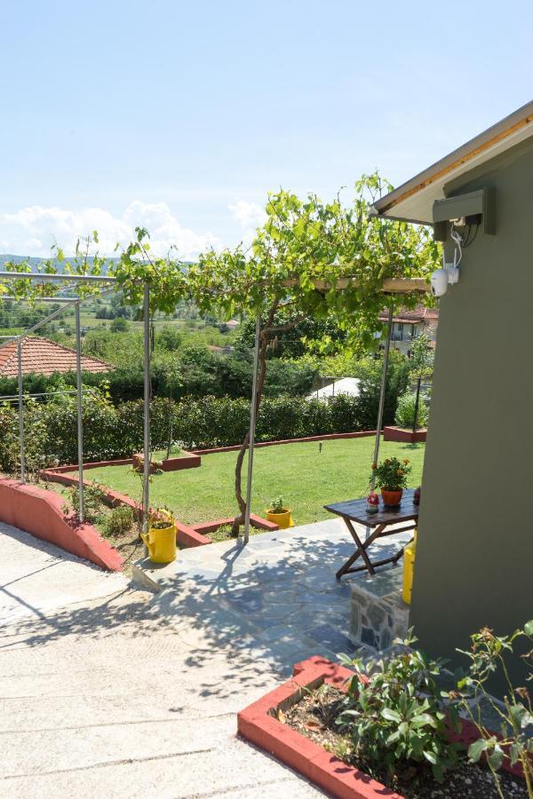 Valena'S House Apartment Ioannina Exterior photo