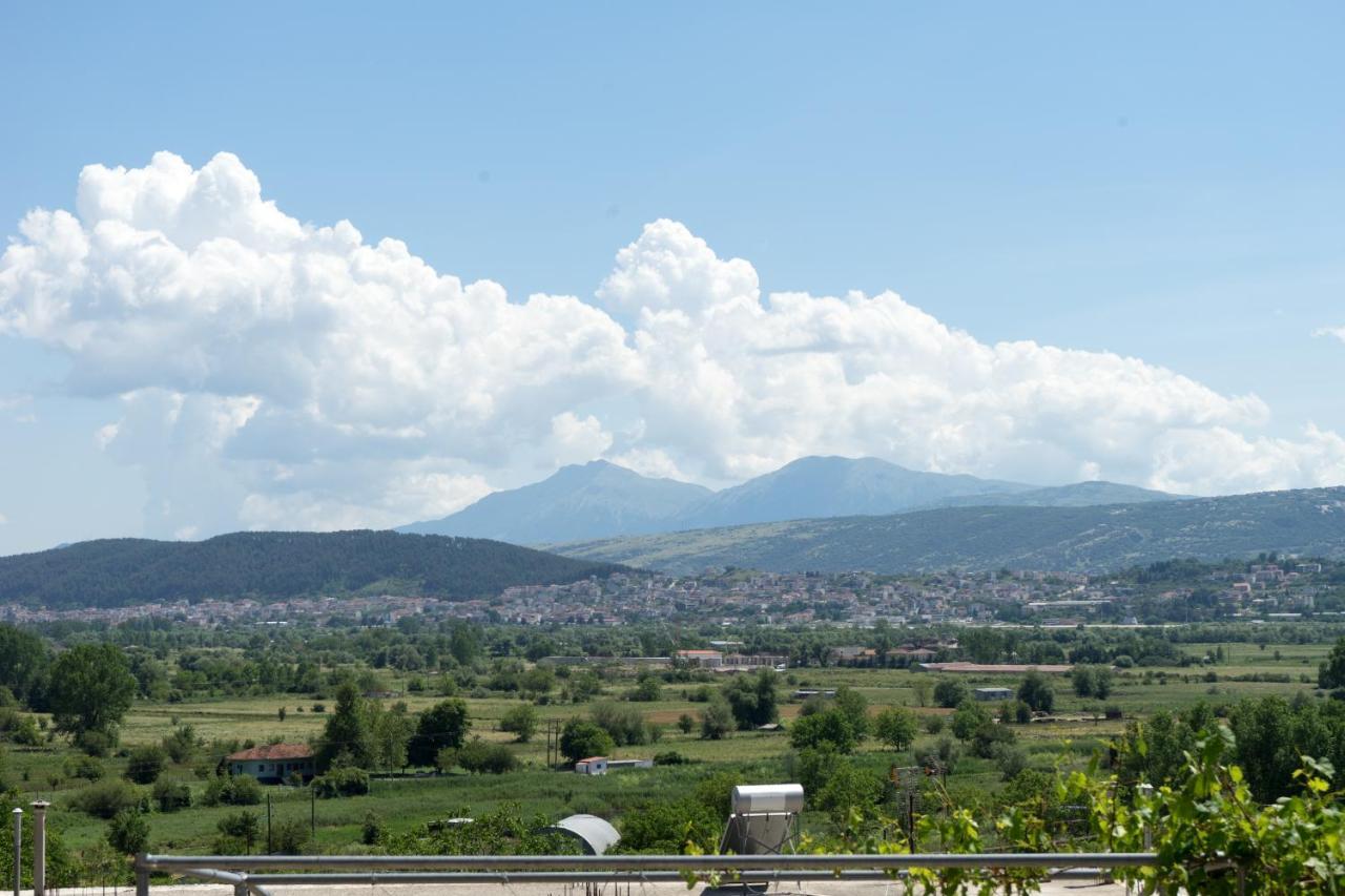 Valena'S House Apartment Ioannina Exterior photo